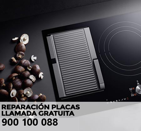 Reparación averías placa de cocción Proline